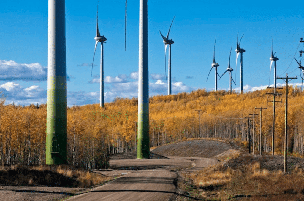 RE Royalties Green Bonds