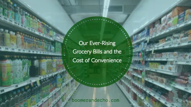 Our Ever-Rising Grocery Bills and the Cost of Convenience