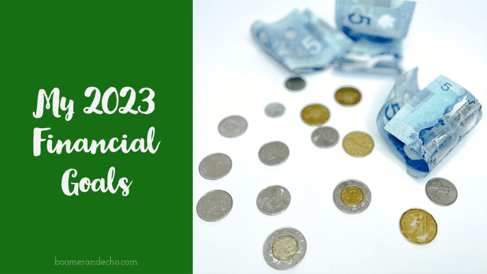My 2023 Financial Goals