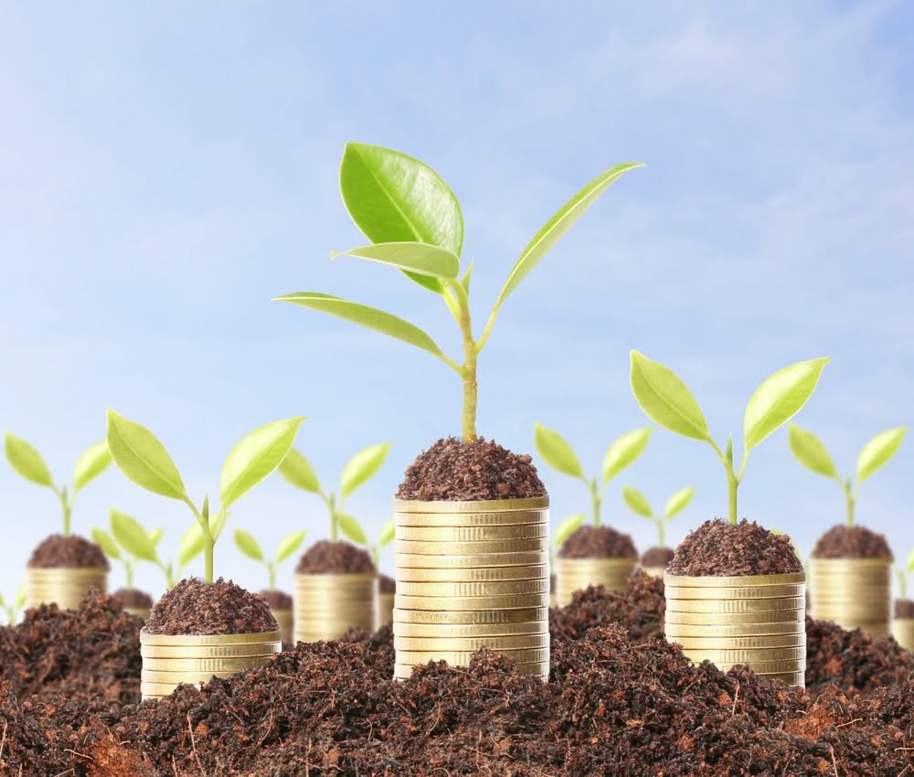 Leveraged Investing