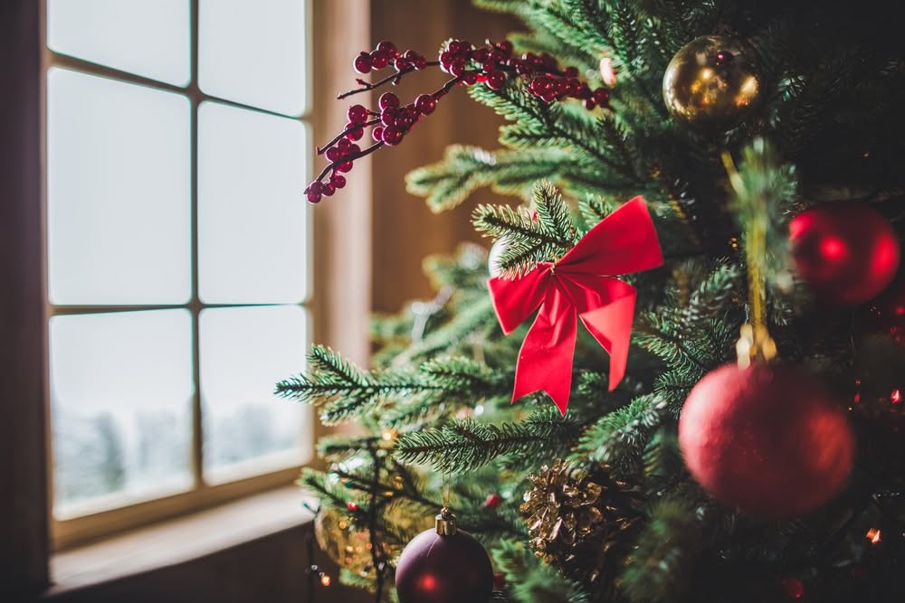 Weekend Reading: Christmas Edition